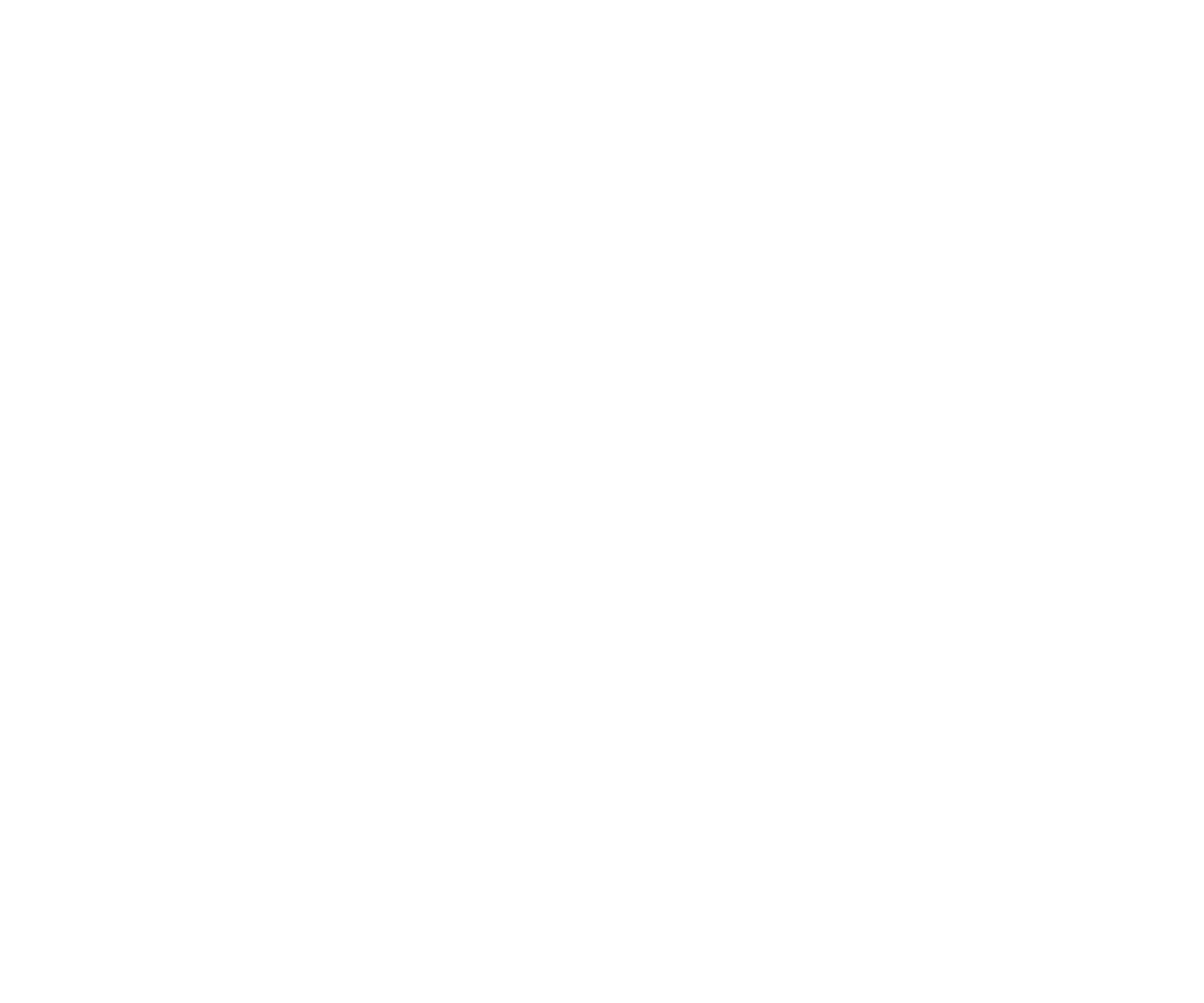 Stellar One